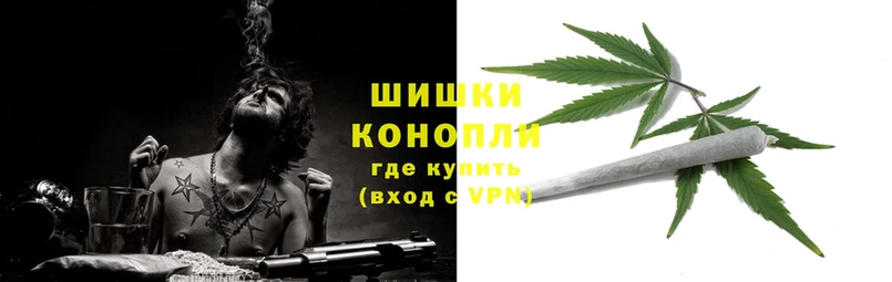 купить   Куйбышев  Каннабис Amnesia 